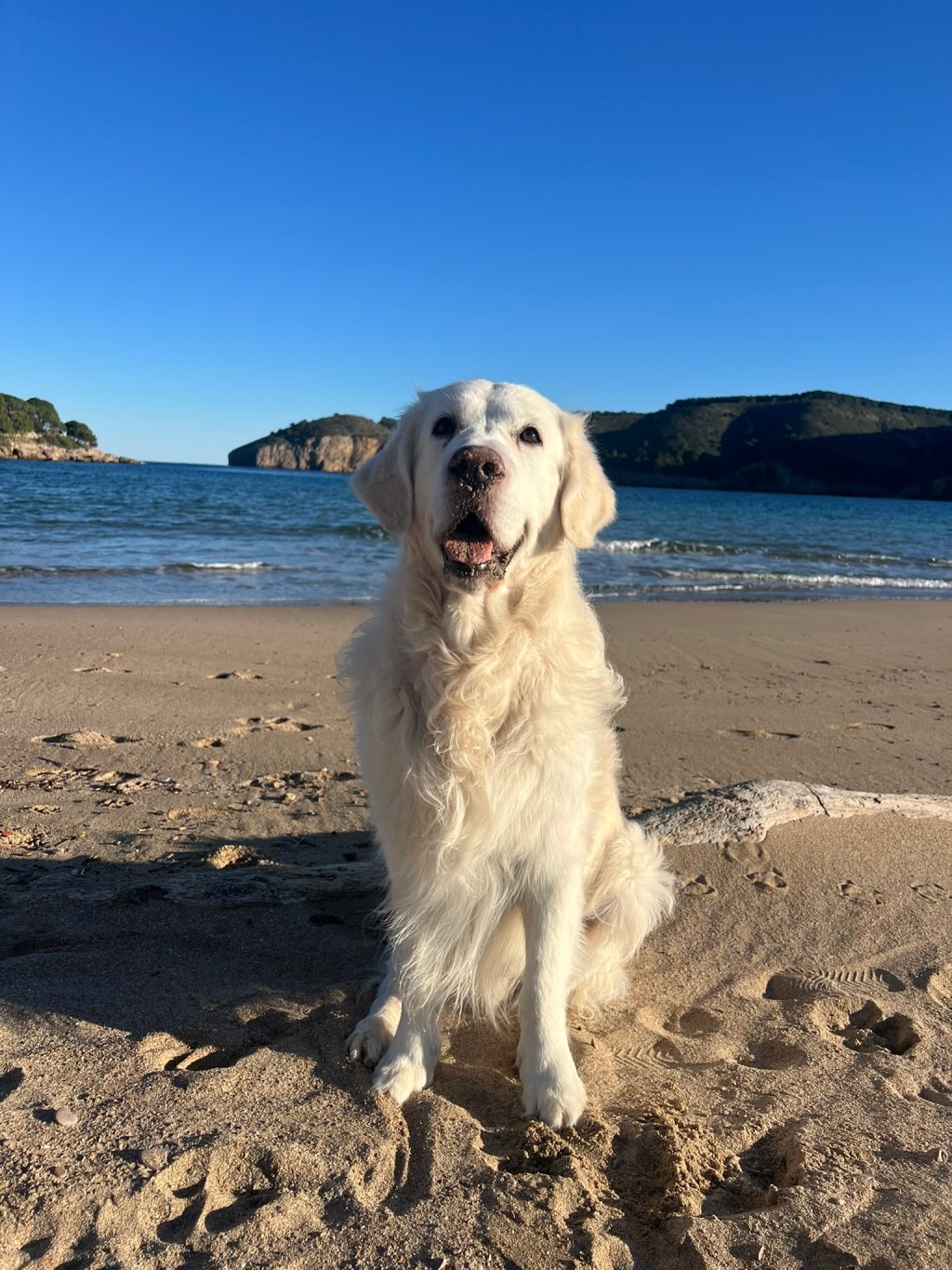 Corporate Data & AI&nbsp;2026